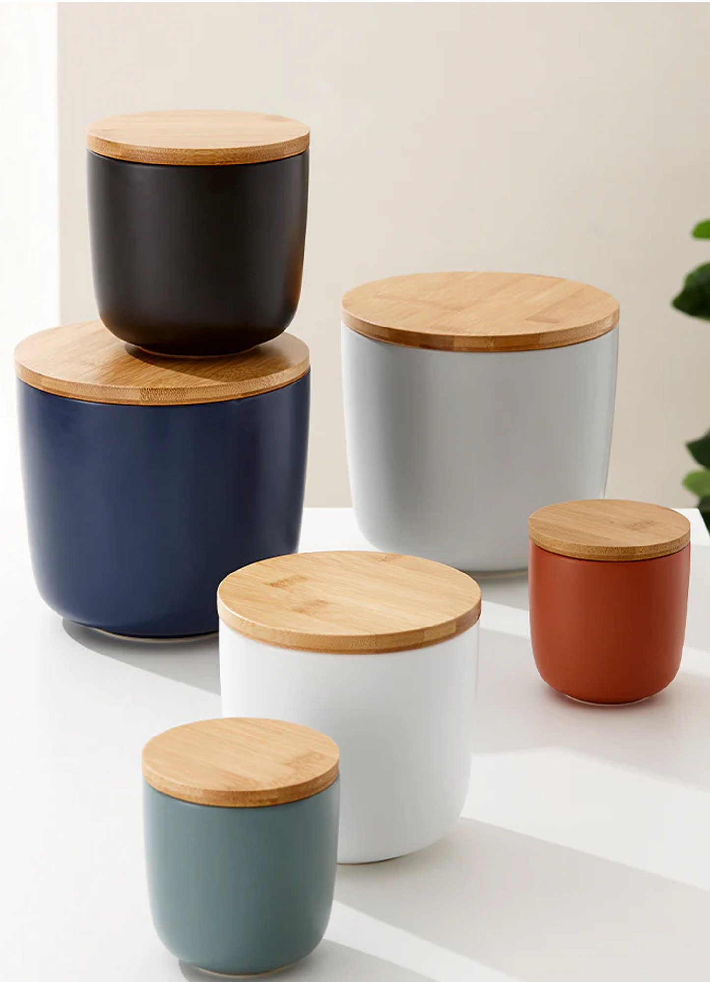 Host 10cm Canister