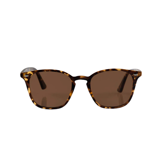 The Chelsea Sunglasses - Tortoise Polarized