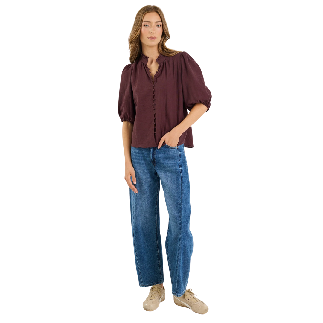 Continuance Chocolate Semi Sheer High Neck Buttoned Short Sleeve Top
