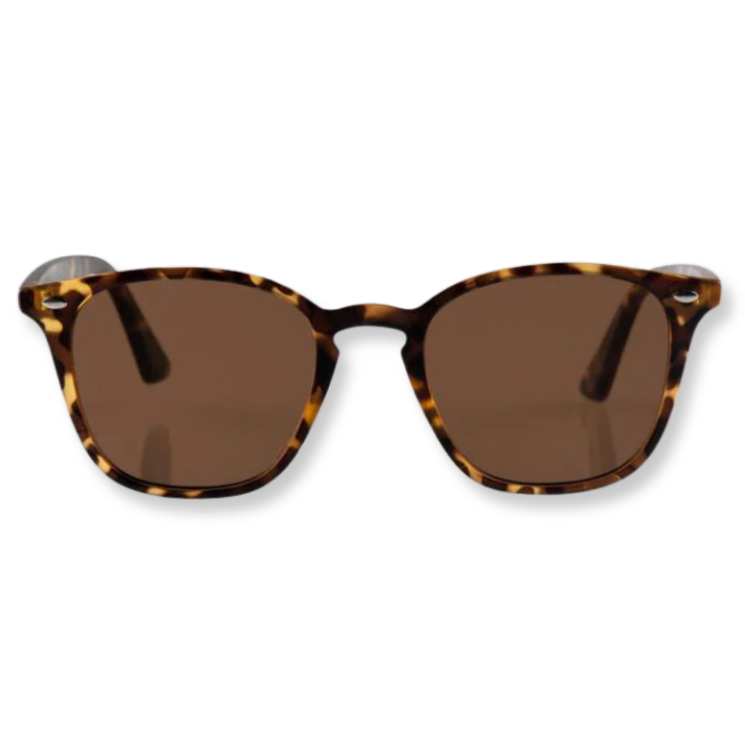 The Chelsea Sunglasses - Matt Turtle