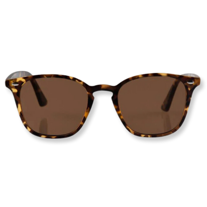 The Chelsea Sunglasses - Matt Turtle